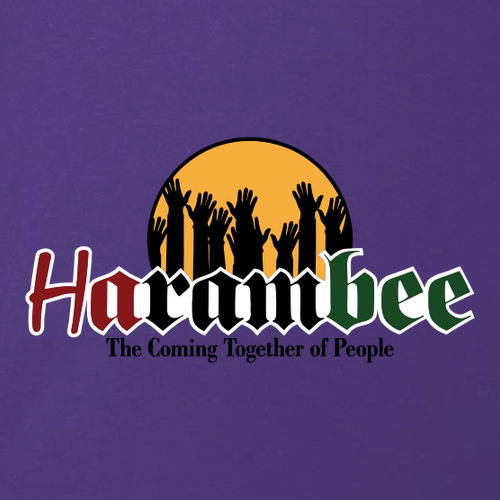 Harambee Ladies Ideal V-Neck Tee -- Purple Rush