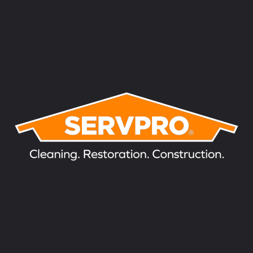 Burnside Yarn Dyed Long Sleeve Flannel Shirt -- Black / Grey