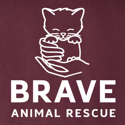 Brave Triblend Tee -- Maroon Triblend