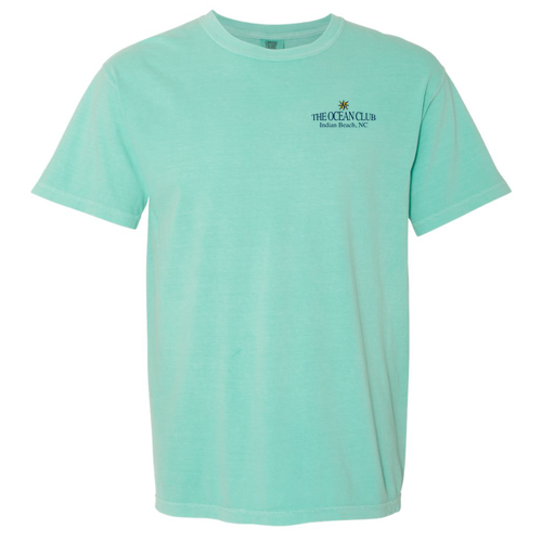 Comfort Colors Ringspun Garment Dyed T Shirt -- Chalky Mint