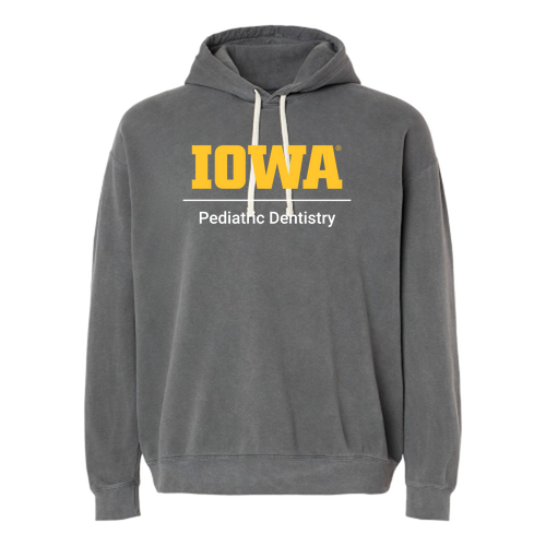 Comfort Colors Unisex Garment-Dyed Hooded Sweatshirt -- Pepper