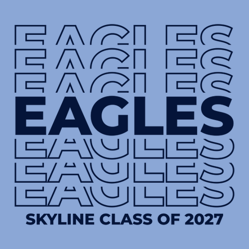 Gildan Heavy Cotton Basic T-Shirt -- Carolina Blue, Class of 2027