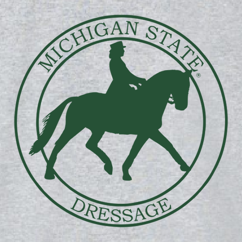 Gildan Ultra Cotton Longsleeve Basic T-Shirt -- Sport Grey