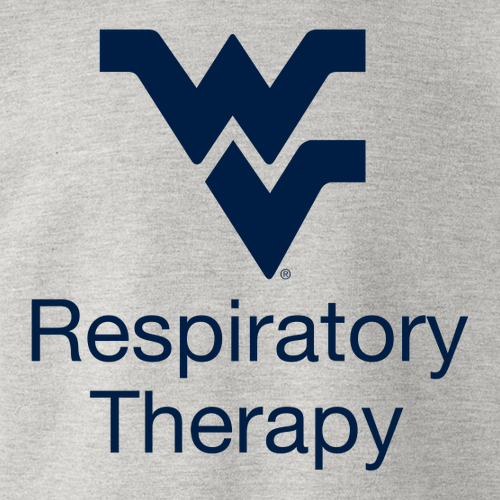 Gildan Heavy Blend Hooded Sweatshirt -- Ash