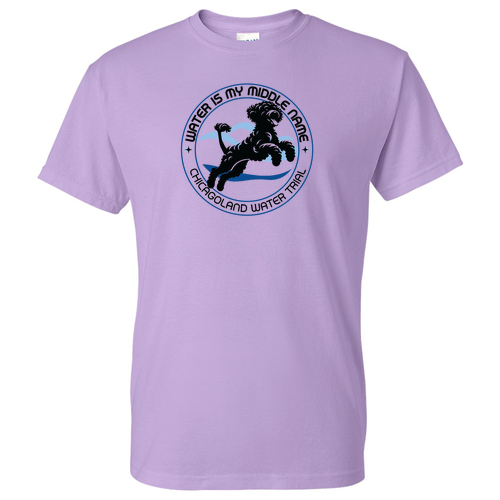 Gildan DryBlend 50/50 T-Shirt -- Orchid