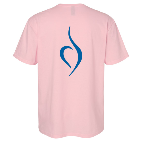 Gildan SoftStyle T-Shirt -- Light Pink