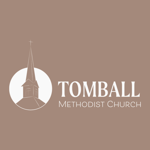 Gildan Heavy Cotton Basic T-Shirt -- Brown Savana