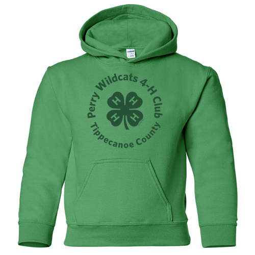 Gildan Heavy Blend Youth Hooded Sweatshirt -- Irish Green