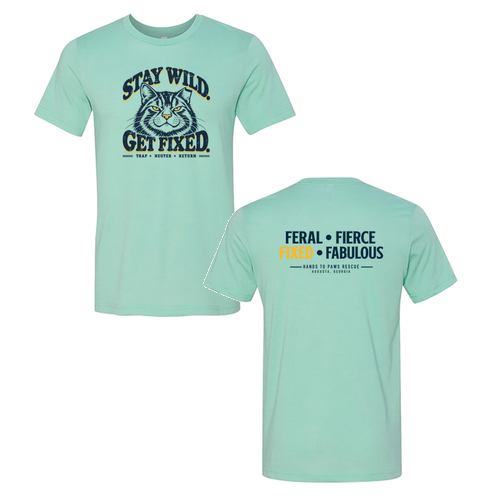 Bella Canvas Unisex Heather CVC T-Shirt -- Heather Mint