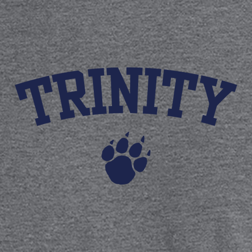 Youth Gildan Heavy Blend Hooded Sweatshirt -- Graphite Heather