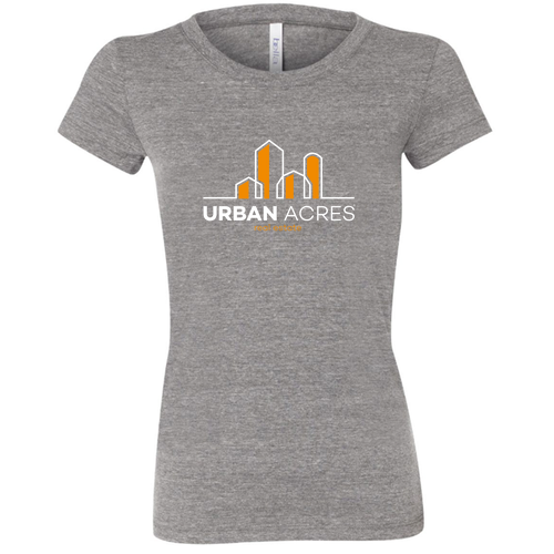 Bella Canvas Ladies' Triblend Short-Sleeve T-Shirt -- Grey TriBlend