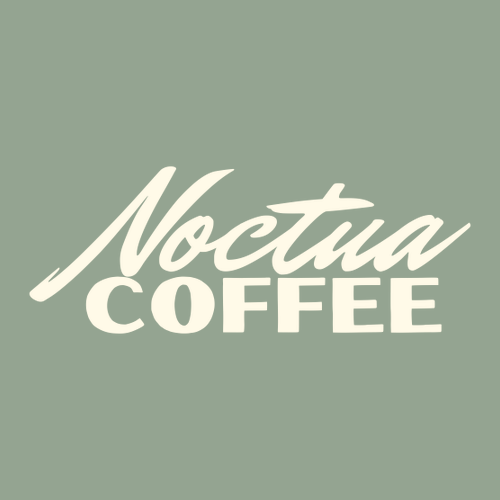 Comfort Colors Heavyweight Adult T-Shirt -- Sage (Front Only Print)