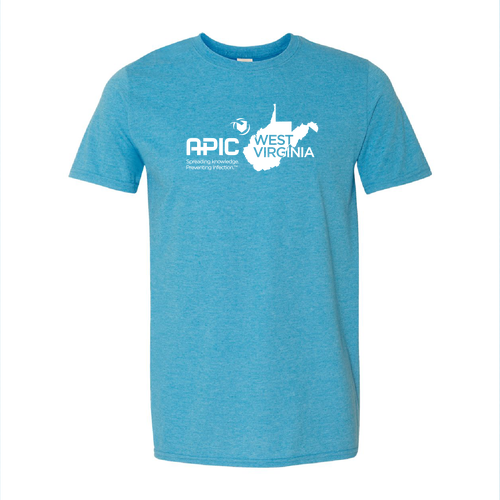 Gildan SoftStyle T-Shirt -- Heather Sapphire