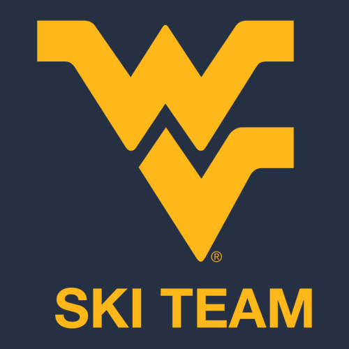 Gildan Softstyle Longsleeve T Shirt -- Navy