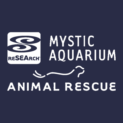 Mystic Aquarium Animal Rescue Program Hooded Pullover (True Navy)
