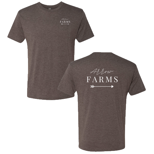 Next Level Mens TriBlend Tee -- Macchiato