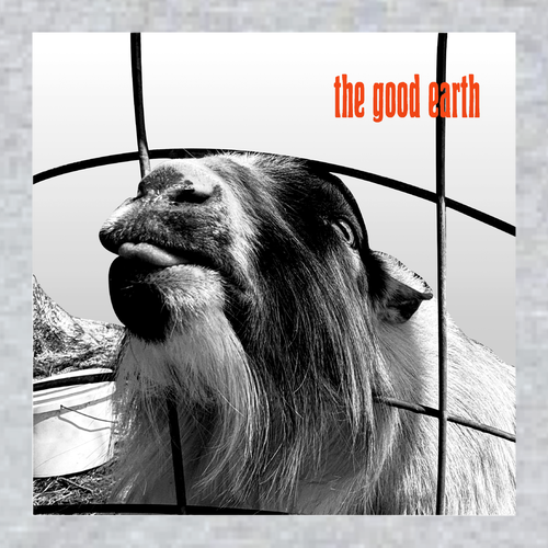 Gildan Adult Softstyle Fleece Pullover Hooded Sweatshirt -- Sport Grey