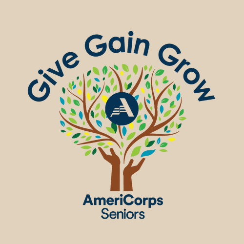 Gildan Ultra Cotton Longsleeve Basic T-Shirt -- Natural