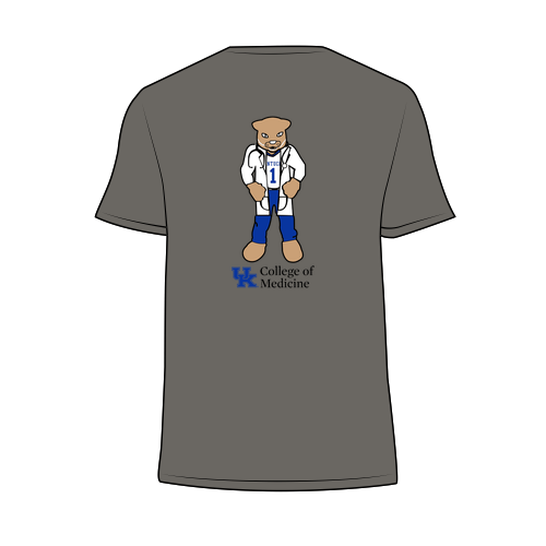 Gildan SoftStyle Fitted T-Shirt -- Charcoal