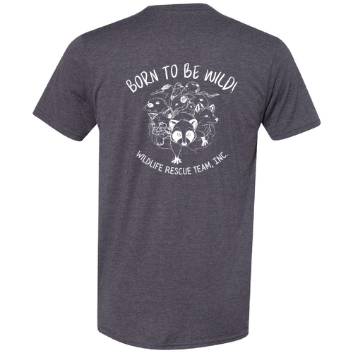 Hanes Perfect-T Ring Spun T-Shirt -- Charcoal Heather