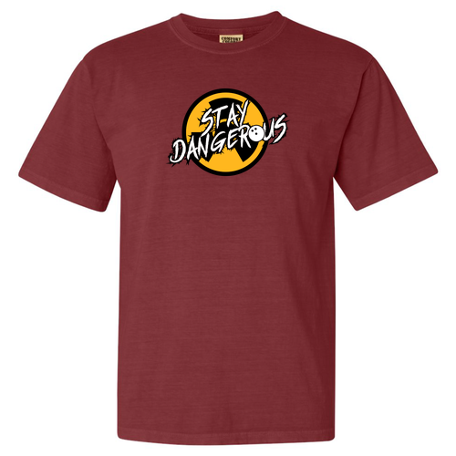 Comfort Colors Ringspun Garment Dyed T Shirt -- Brick