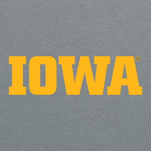 Independent Trading Unisex Special Blend Raglan Crewneck -- Nickel Heather / Black