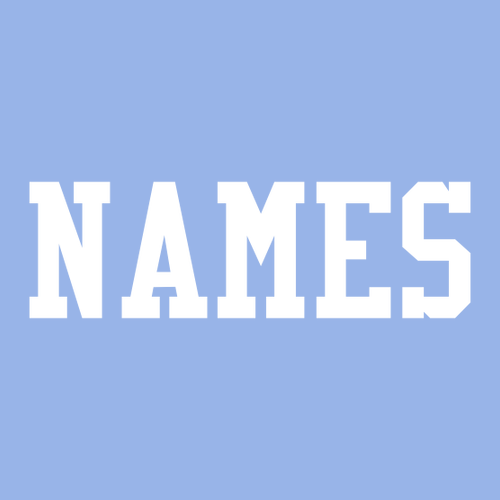 Gildan Heavy Cotton Basic T-Shirt -- Carolina Blue