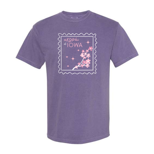 Comfort Colors Unisex Garment-Dyed Heavyweight T-Shirt -- Grape