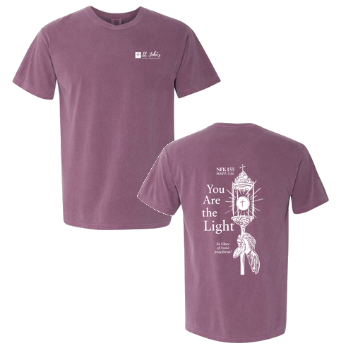 Comfort Colors Heavyweight Adult T-Shirt -- Berry