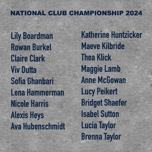 Ladies District Soft Fitted Perfect Tri Tee -- Grey Frost, U16