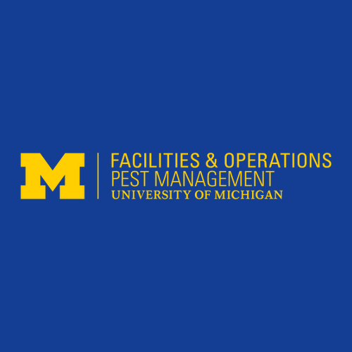 Sport Tek Wicking Competitor Tee -- True Royal, $11