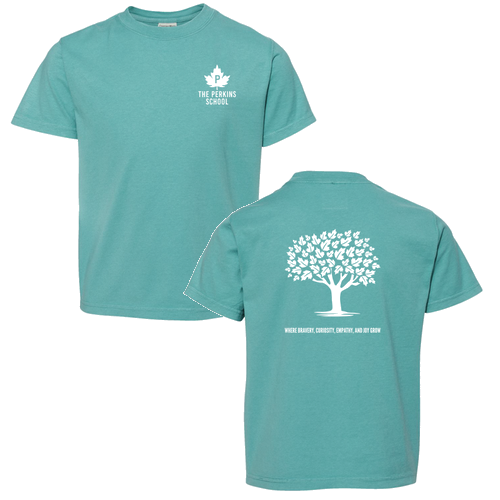 ComfortWash by Hanes Garment Dyed Youth Short Sleeve T-Shirt -- Spanish Moss