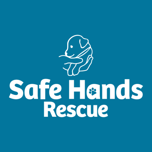 Hanes EcoSmart Crewneck Sweatshirt -- Teal