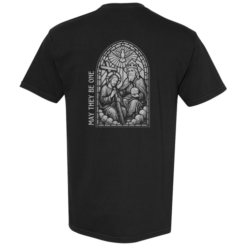 Comfort Colors Unisex Garment-Dyed Heavyweight T-Shirt -- Black
