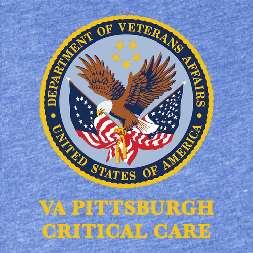 District Made Men's Perfect Tri V-Neck Tee -- Royal Frost