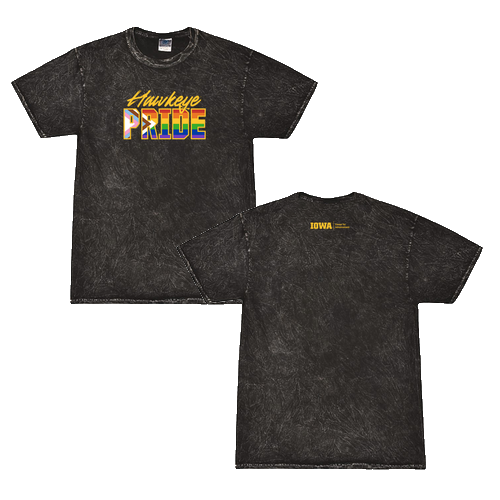 Colortone Mineral Wash T-Shirt -- Mineral Black