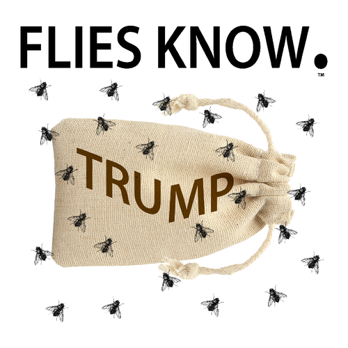 Flies Know.