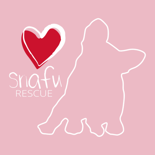 Comfort Colors Ringspun Long Sleeve Tee -- Blossom