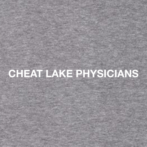 Gildan Heavy Cotton Longsleeve Basic T-Shirt -- Graphite Heather