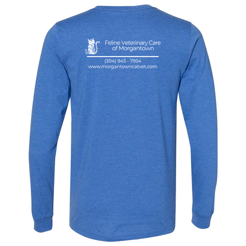 Bella+Canvas Unisex Heather Cvc Long Sleeve Tee- Heathers -- Heather True Royal
