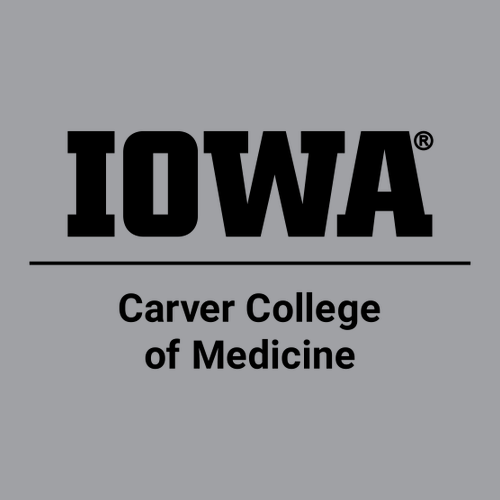 Comfort Colors Adult Long Sleeve Pocket Tee -- Granite