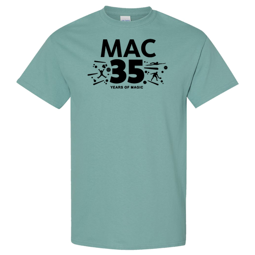 Gildan Heavy Cotton Basic T-Shirt -- Aquatic