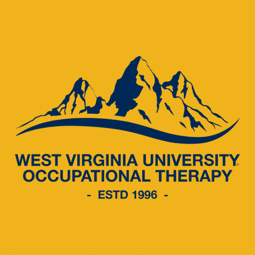 BELLA + CANVAS Sponge Fleece Hoodie -- Gold