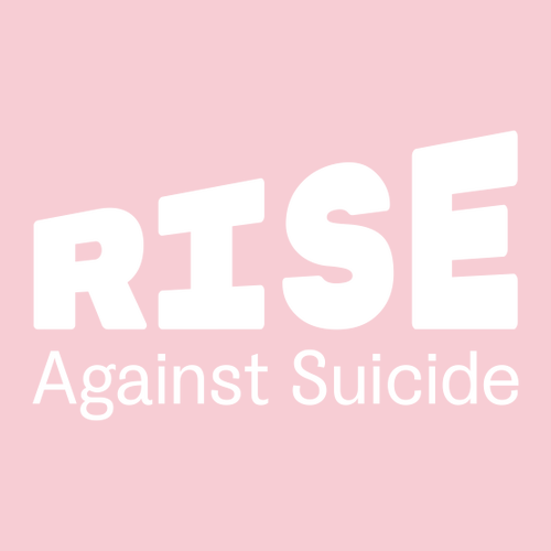 Gildan Heavy Cotton Longsleeve Basic T-Shirt -- Light Pink