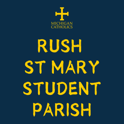 Gildan Heavy Cotton Basic T-Shirt -- Navy