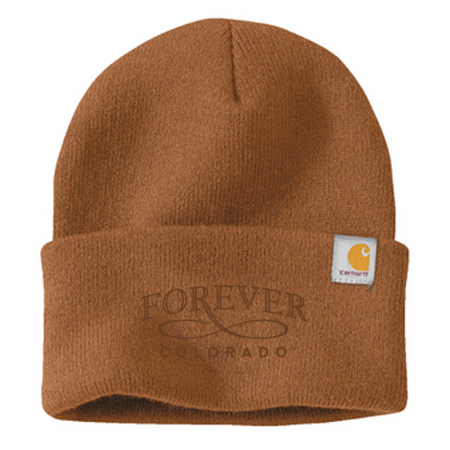 Carhartt Watch Hat 2.0 -- Carhartt Brown