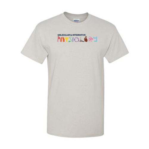Mens/Unisex Gildan Heavy Cotton Basic T-Shirt -- Ice Grey
