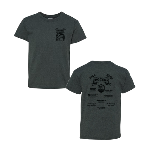 Gildan Heavy Cotton Basic Youth T-Shirt -- Dark Heather