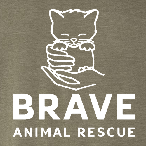 Brave Triblend Tee -- Olive Triblend