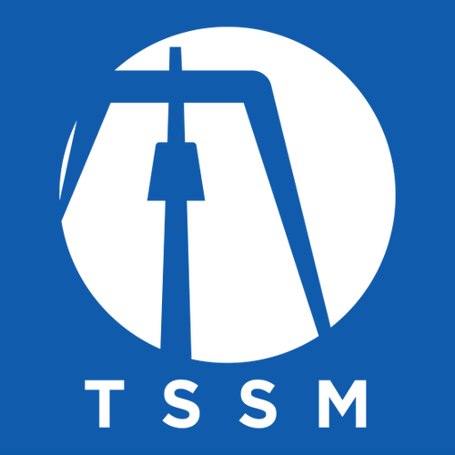 Gildan Heavy Cotton Basic T-Shirt -- Royal